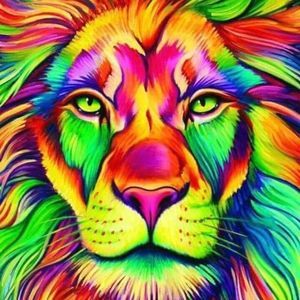 Meet your Posher, Brandy